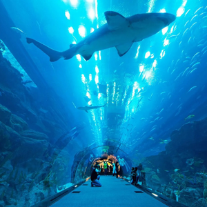 Dubai Mall Aquarium