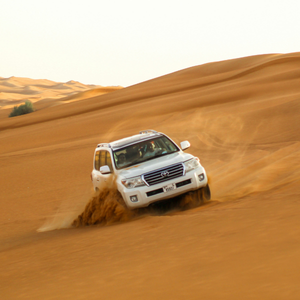 Desert Safari